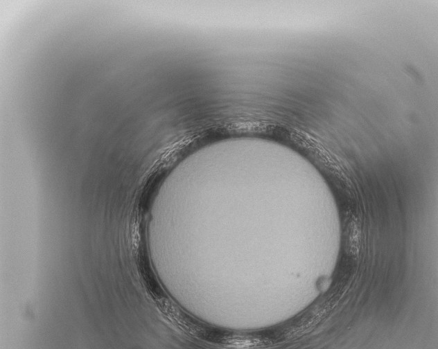 X0000115410746200912011225