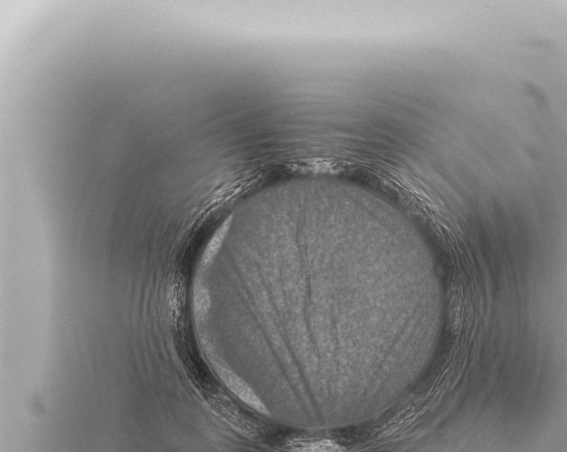 X0000115410747200912011225