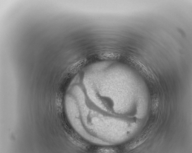 X0000115410749200912011225