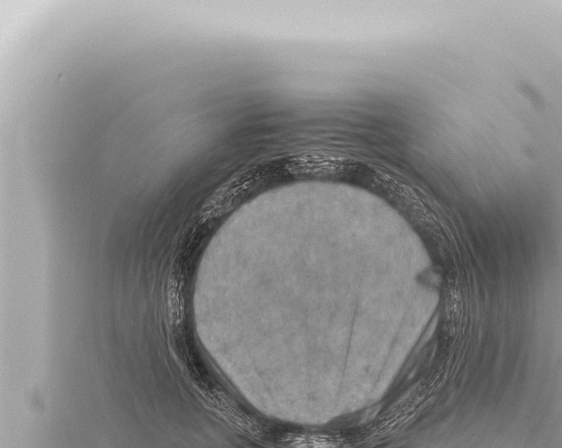 X0000115410751200912011225