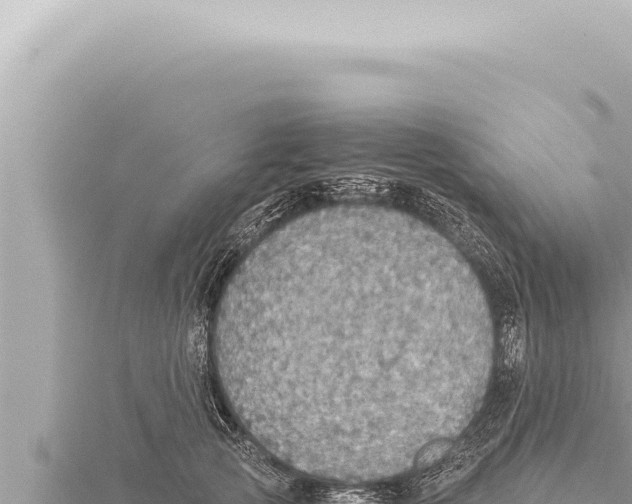 X0000115410753200912011225