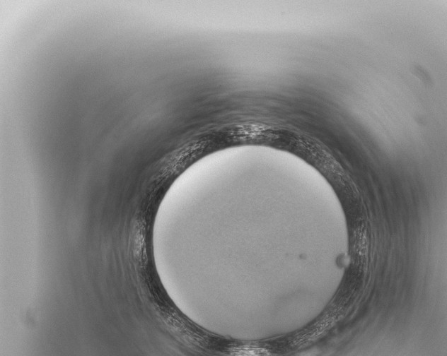 X0000115410754200912011225