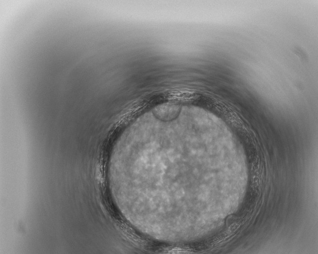 X0000115410755200912011225