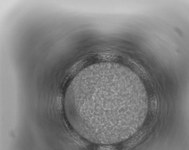 X0000115410757200912011225