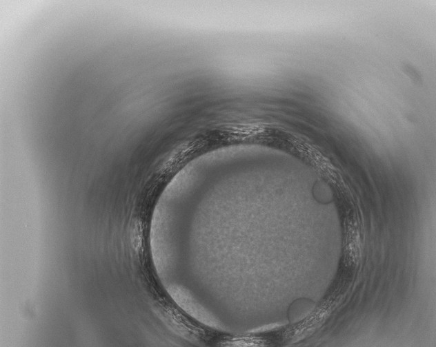 X0000115410758200912011225