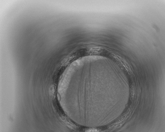 X0000115410759200912011225