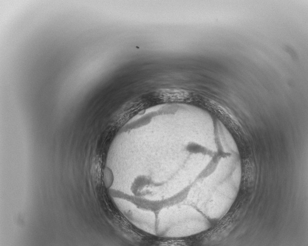 X0000115410761200912011225