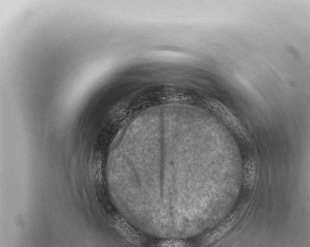 X0000115410762200912011225