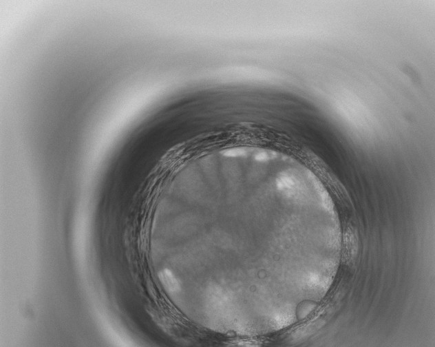 X0000115410765200912011225