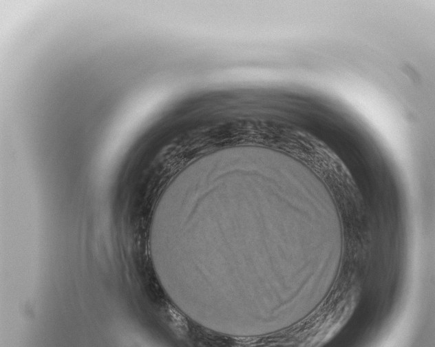 X0000115410766200912011225