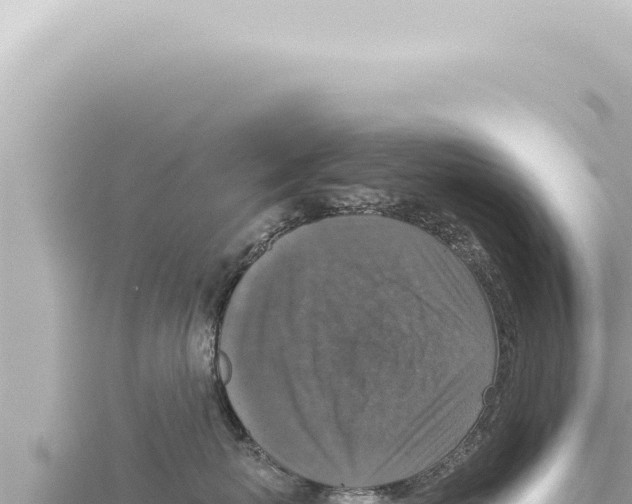 X0000115410767200912011225