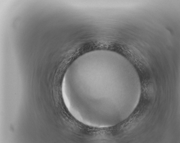 X0000115410769200912011225