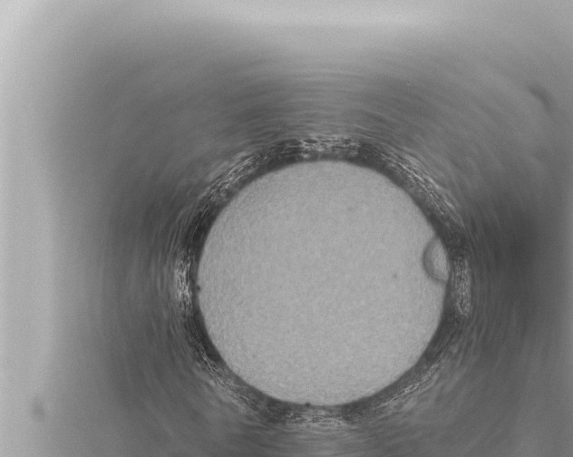 X0000115410770200912011225