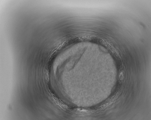 X0000115410772200912011225