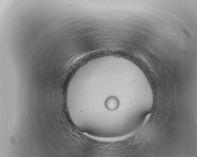 X0000115410773200912011225