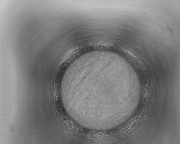 X0000115410774200912011225