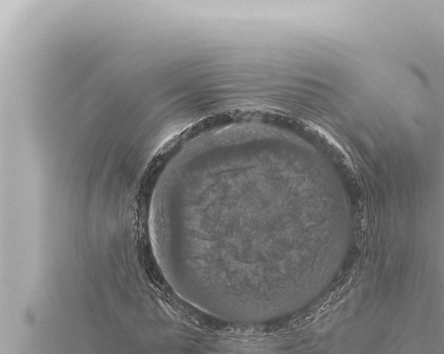 X0000115410775200912011225