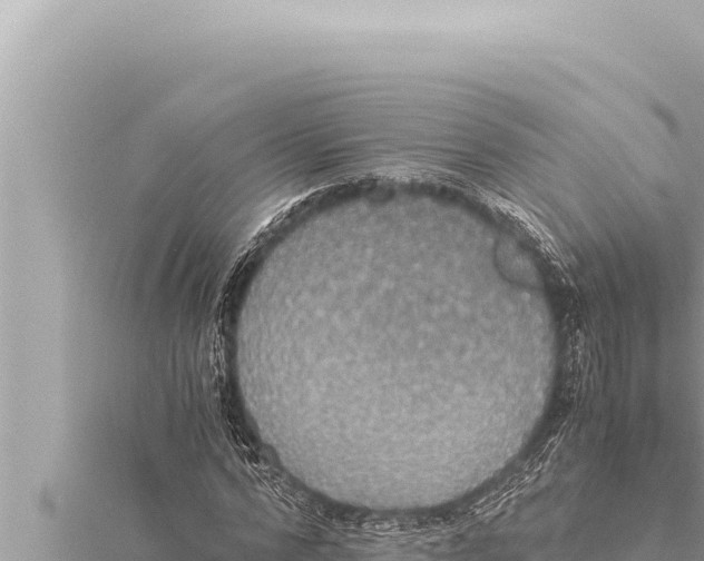 X0000115410776200912011224