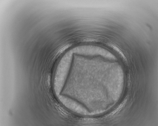 X0000115410777200912011224