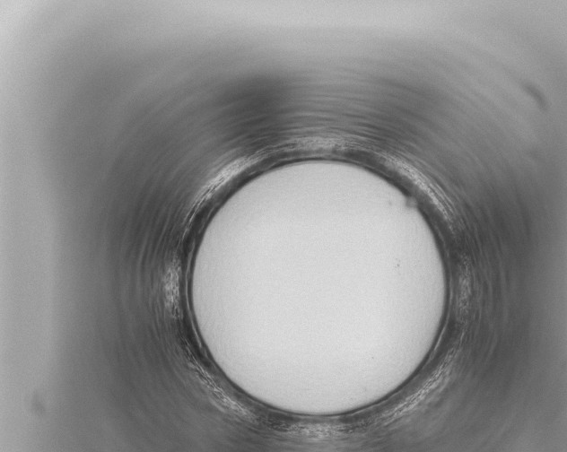 X0000115410778200912011224