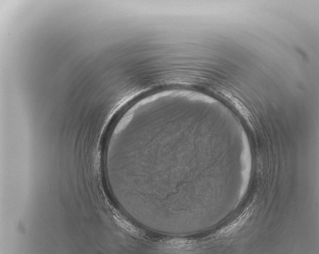 X0000115410779200912011224