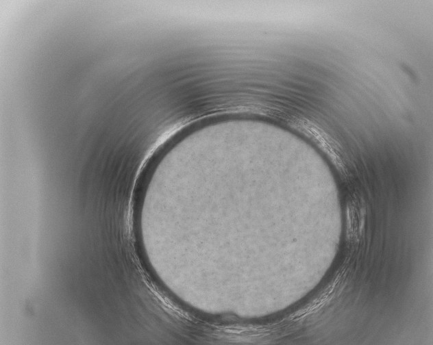 X0000115410780200912011224