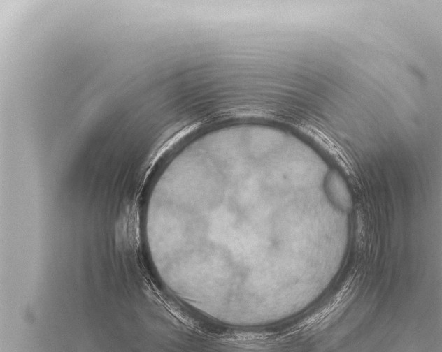 X0000115410782200912011224