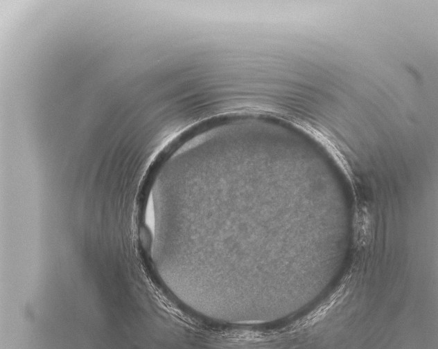 X0000115410783200912011224