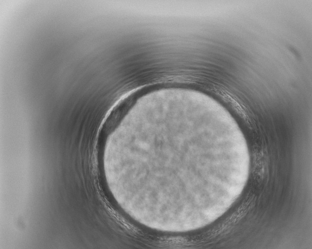 X0000115410784200912011224