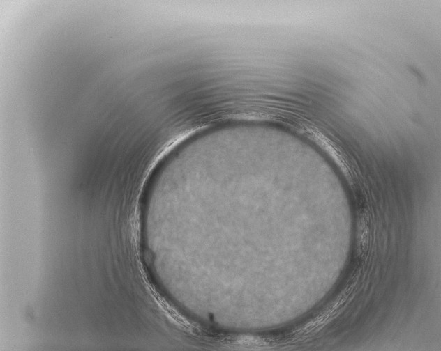 X0000115410787200912011224