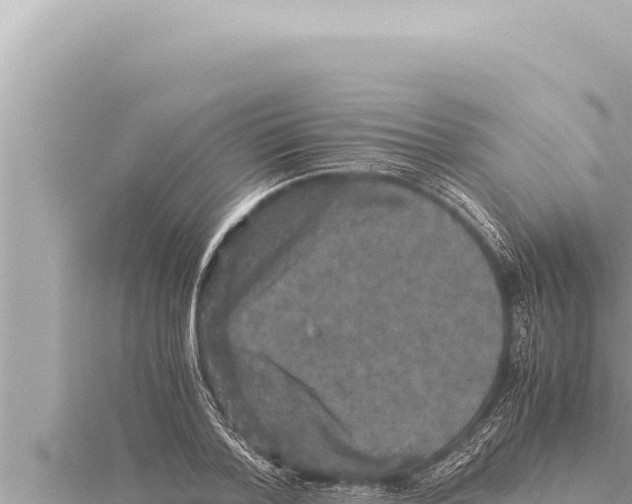 X0000115410788200912011224