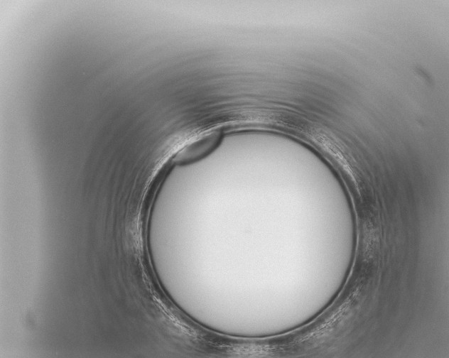 X0000115410789200912011224