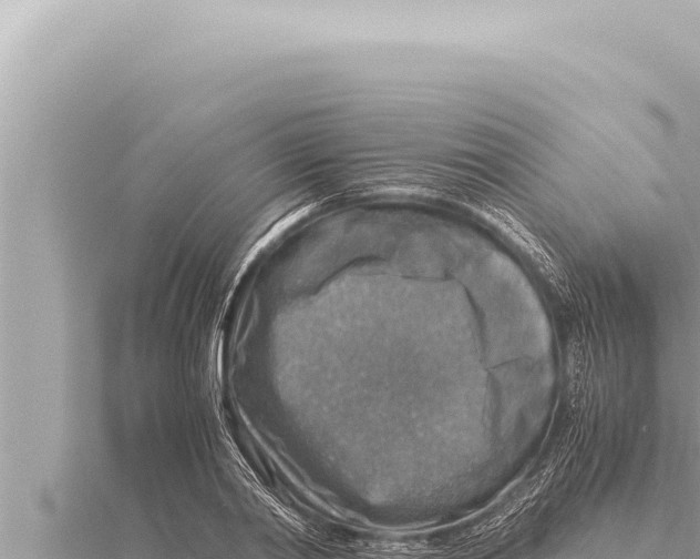 X0000115410790200912011224