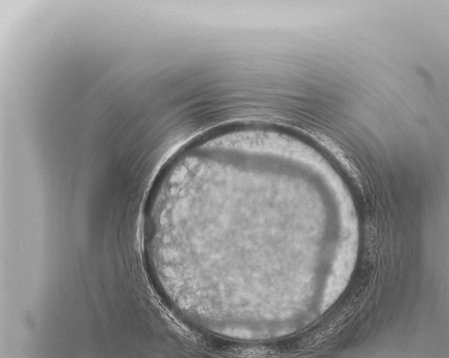 X0000115410791200912011224