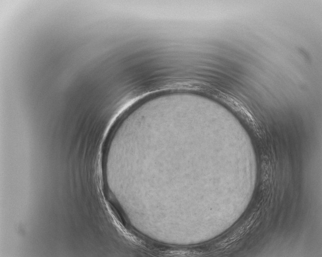 X0000115410792200912011224