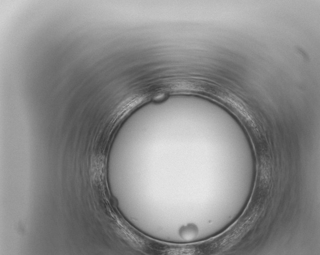 X0000115410793200912011224