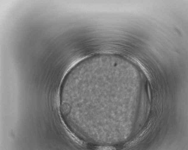 X0000115410795200912011224