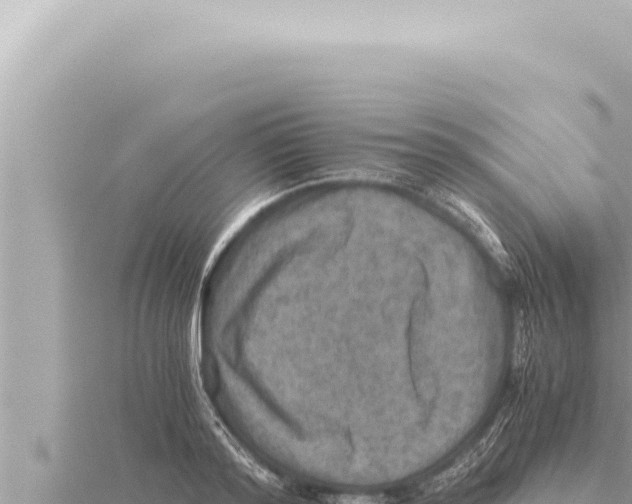 X0000115410796200912011224