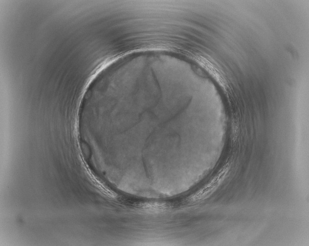 X0000115410797200912011224