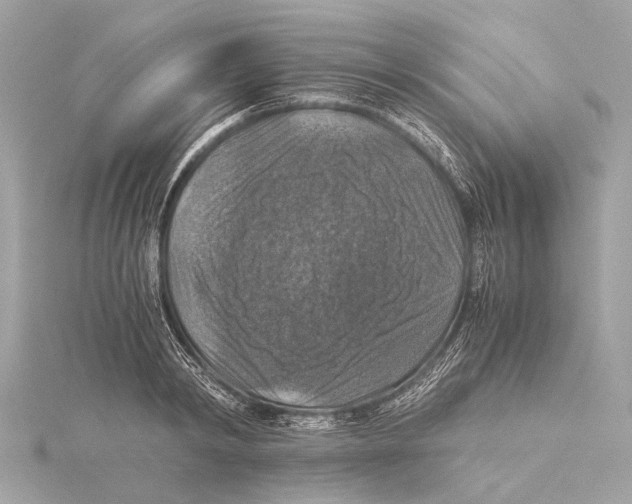 X0000115410798200912011224