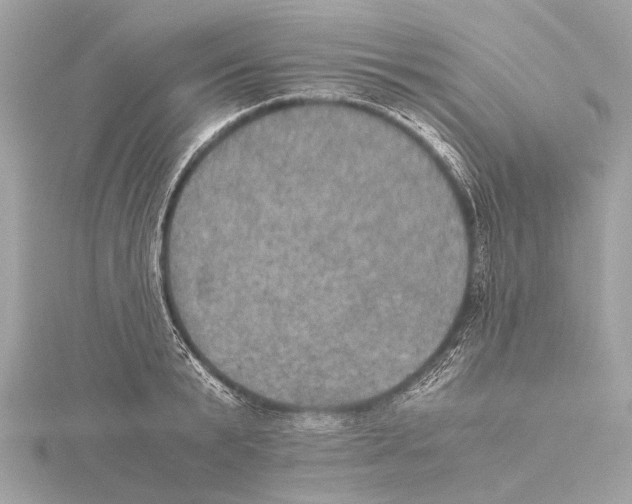 X0000115410799200912011224