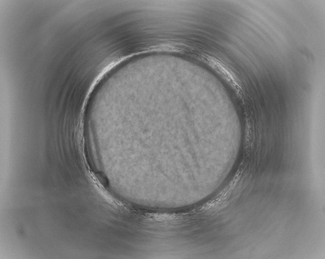 X0000115410800200912011224