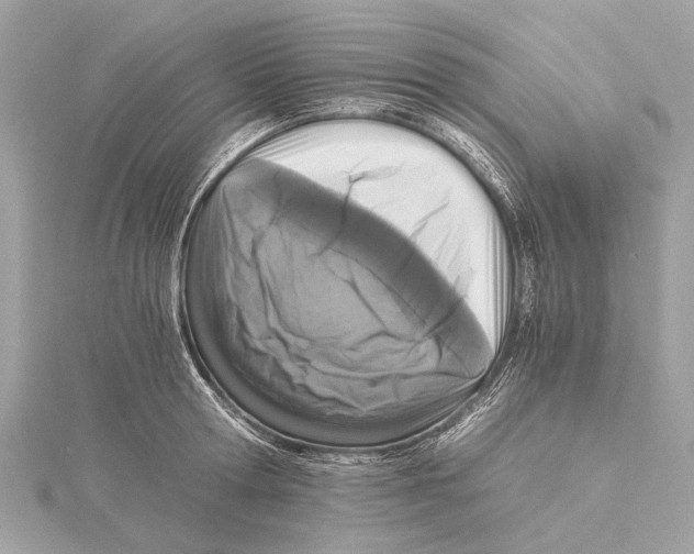 X0000115410802200912011224