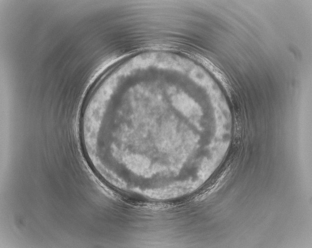 X0000115410803200912011224