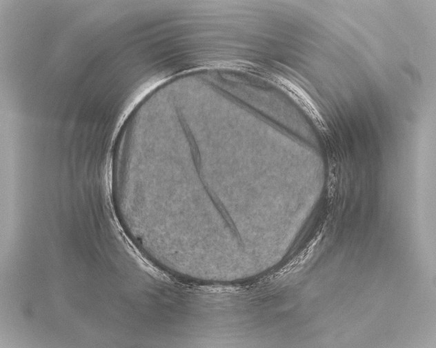 X0000115410804200912011224