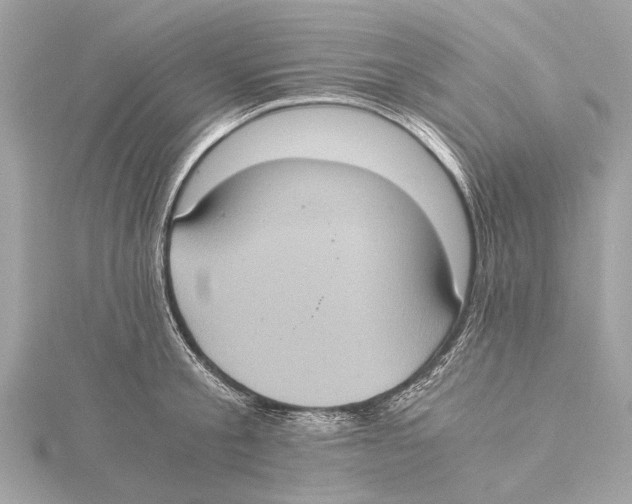 X0000115410805200912011224