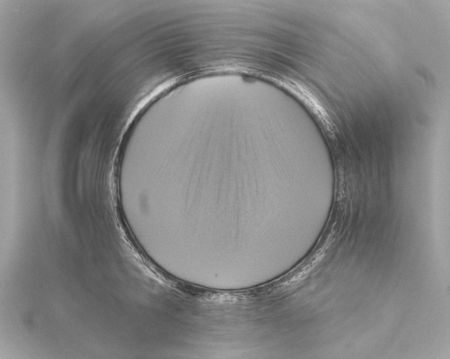 X0000115410806200912011224