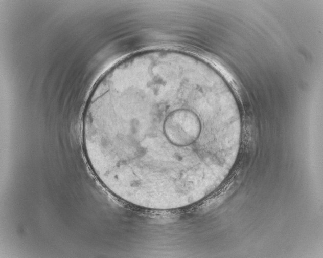 X0000115410807200912011224