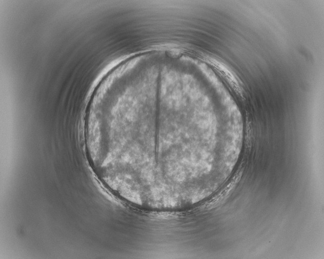 X0000115410808200912011224