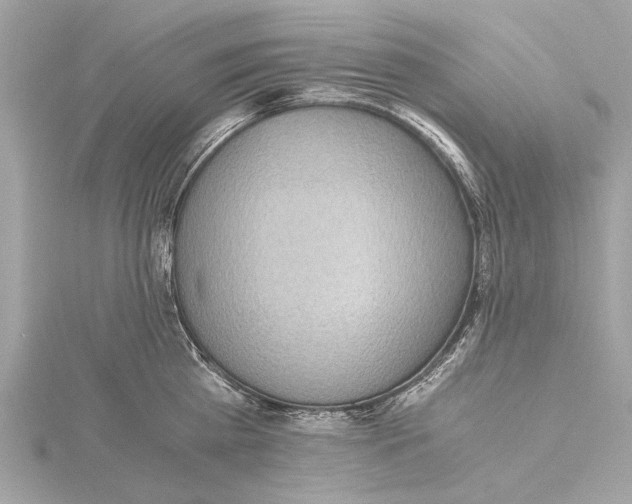 X0000115410809200912011224